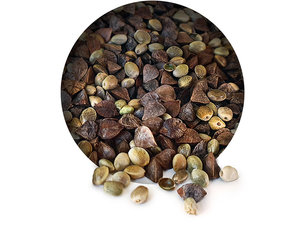 Hennep Boekweit Partikel Mix