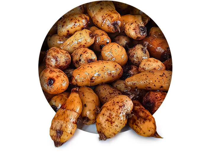 Tijgernoten en Partikels Kant en Klaar