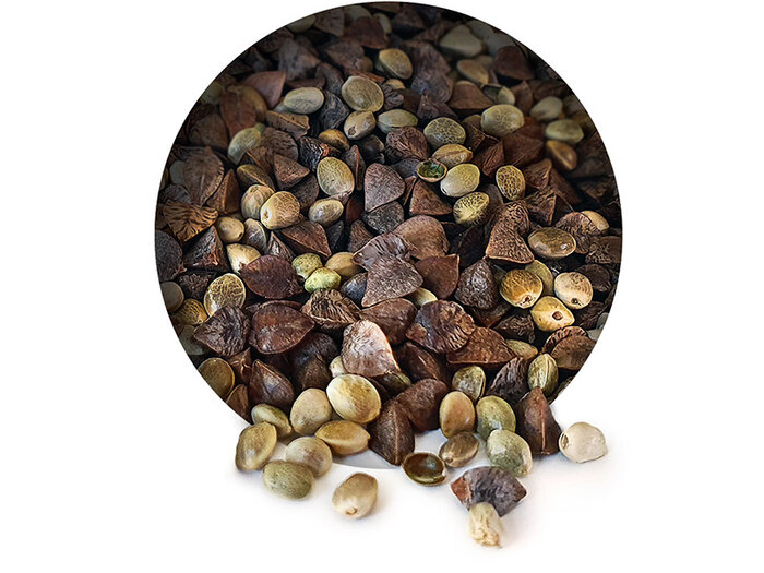 Hennep Boekweit Partikel Mix