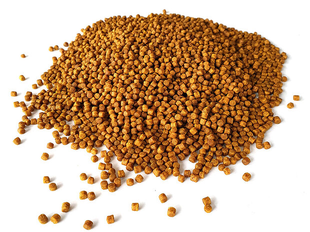 Vanilla Pellets 4mm 2,5KG