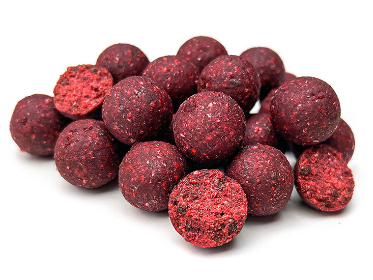 Bloodworm Combi Deal 24MM
