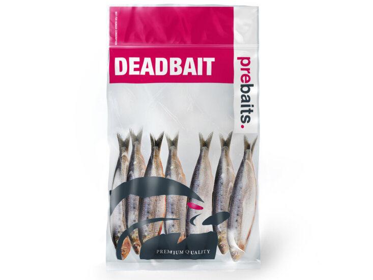 Sardines klein