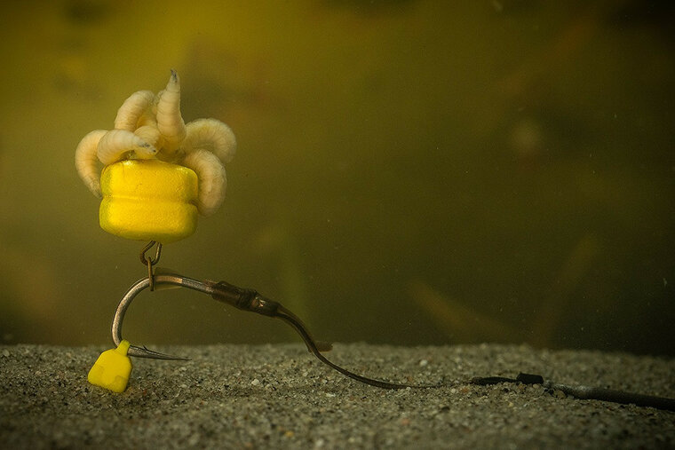 Tungsta Corn Shot Pole Position 