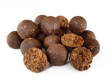 Tuna boilies