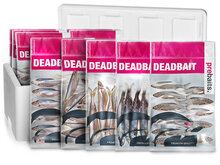 Doodaas Snoekbaars Box Large