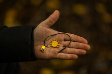 Tungsta Corn Shot Pole Position 