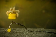 Tungsta Corn Shot Pole Position 