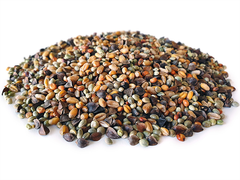 Golden Partikel Mix