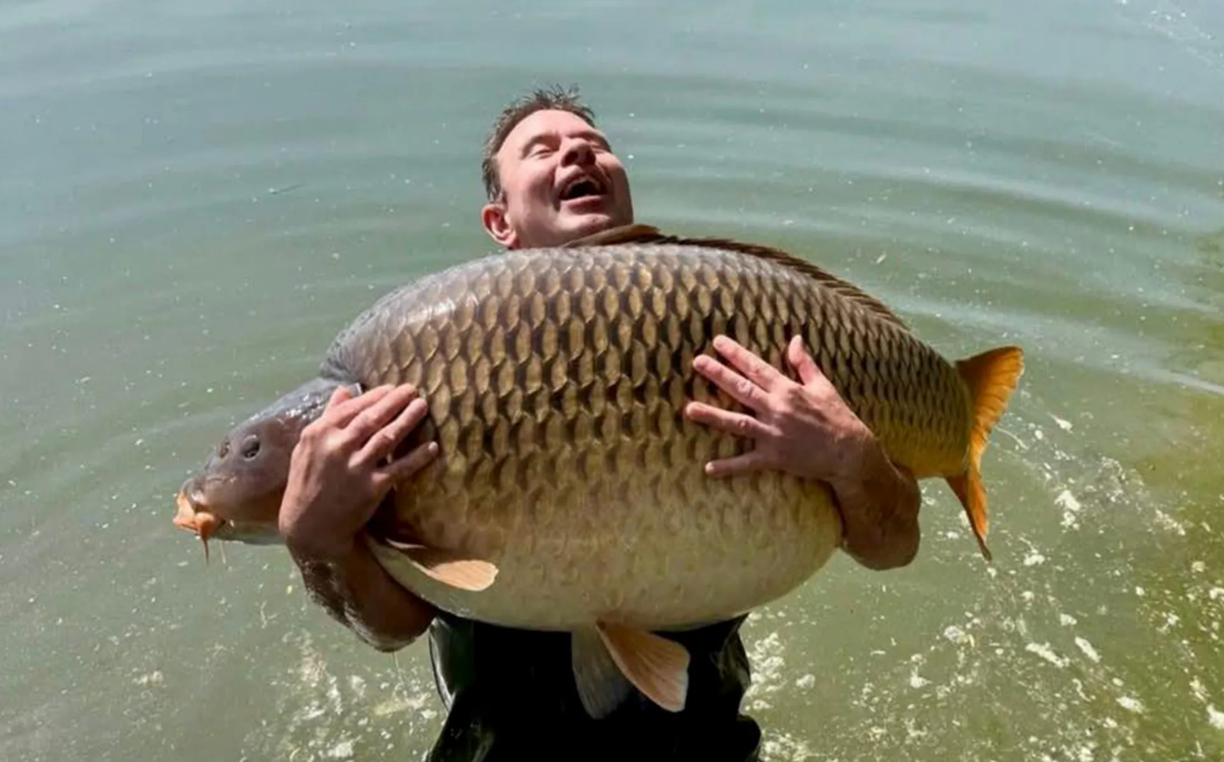 Wat is de grootste karper die ooit is gevangen?