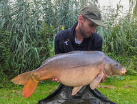 Een terugblik op eind zomer/begin najaar 2024
