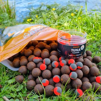 Karpervissen met boilies - Tips voor beginners
