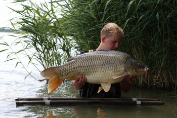 Karpervissen aan de merenye in hongarije!