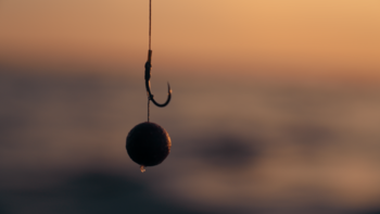 Boilies, pellets en popups