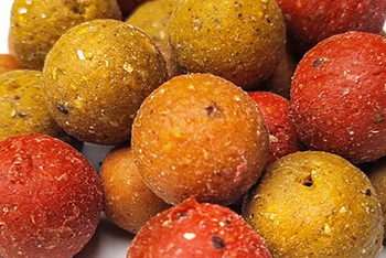 Vissen met voerboilies