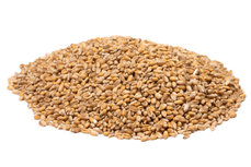 Tarwe 5KG Tarwe 5KG