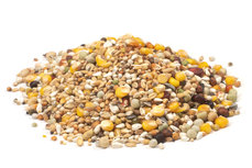 Duivenvoer 20KG Duivenvoer 20KG