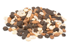 XXL Partikel Mix 5KG XXL Partikel Mix 5KG