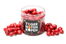 Squid Tijgernoten Hookbaits Squid Tijgernoten Hookbaits