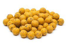 Ultimate Scopex Boilies 100KG Ultimate Scopex Boilies 100KG
