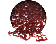 Bloodworm Vers Bloodworm Vers