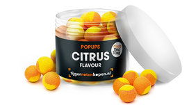Citrus Pop-ups Oranje/Geel