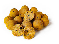 Ultimate Scopex Boilies 5KG Ultimate Scopex Boilies 5KG