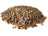 Tarwe 2,5KG Tarwe 2,5KG