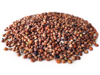 Dari Rood 2,5KG Dari Rood 2,5KG